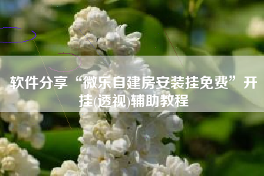 软件分享“微乐自建房安装挂免费”开挂(透视)辅助教程