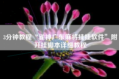 3分钟教程“雀神广东麻将挂挂软件”附开挂脚本详细教程