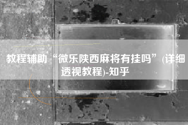 教程辅助“微乐陕西麻将有挂吗”(详细透视教程)-知乎