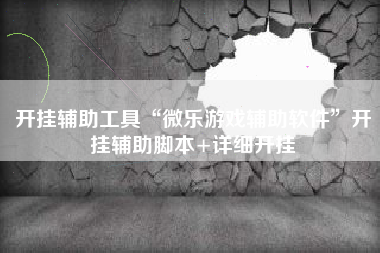 开挂辅助工具“微乐游戏辅助软件	”开挂辅助脚本+详细开挂