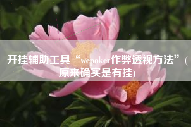 开挂辅助工具“wepoker作弊透视方法	”(原来确实是有挂)
