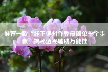 推荐一款“线下德州作弊最简单三个步骤”揭秘透视辅助万能挂