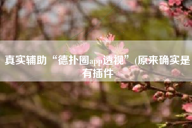 真实辅助“德扑圈app透视”(原来确实是有插件