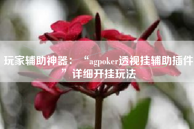 玩家辅助神器:“agpoker透视挂辅助插件”详细开挂玩法 玩家辅助神器:“agpoker透视挂辅助插件”详细开挂玩法