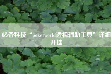 必备科技“pokerworld透视辅助工具”详细开挂