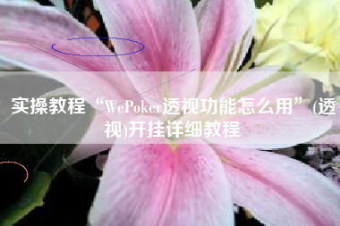 实操教程“WePoker透视功能怎么用”(透视)开挂详细教程