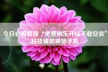 今日必看教程“免费微乐开挂下载安装”科技辅助神器手机