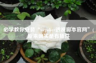 必学教你安装“wepoker透视脚本官网”(原来确实是有插件