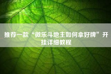 推荐一款“微乐斗地主如何拿好牌”开挂详细教程
