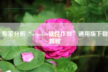 专家分析“wepoker软件作弊”通用版下载教程