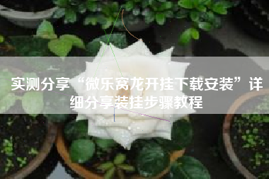 实测分享“微乐窝龙开挂下载安装	”详细分享装挂步骤教程