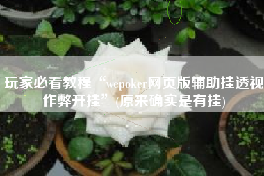 玩家必看教程“wepoker网页版辅助挂透视作弊开挂”(原来确实是有挂)