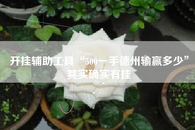 开挂辅助工具“500一手德州输赢多少”其实确实有挂