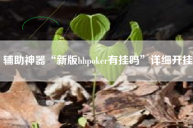 辅助神器“新版hhpoker有挂吗”详细开挂