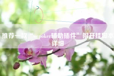 推荐一款“wepoker辅助插件”附开挂脚本详细 推荐一款“wepoker辅助插件”附开挂脚本详细