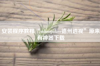 安装程序教程“sohoopoker德州透视”原来有神器下载