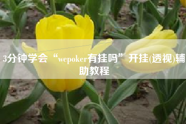 3分钟学会“wepoker有挂吗	”开挂(透视)辅助教程