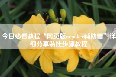 今日必看教程“网页版wepoker辅助器”详细分享装挂步骤教程