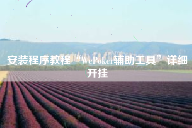 安装程序教程“WePoker辅助工具”详细开挂