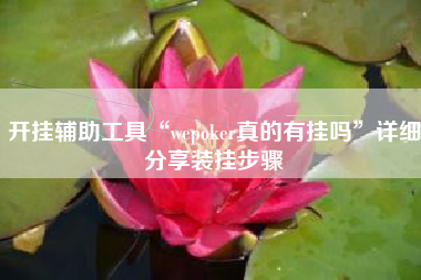开挂辅助工具“wepoker真的有挂吗”详细分享装挂步骤