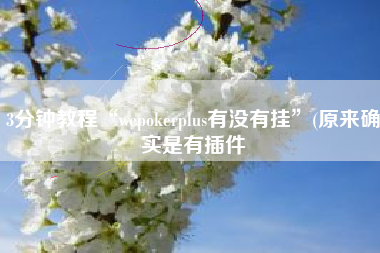 3分钟教程“wepokerplus有没有挂	”(原来确实是有插件