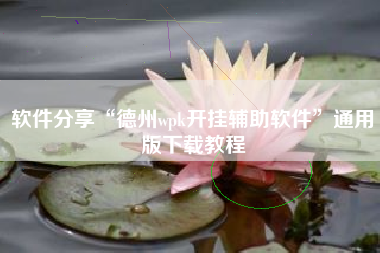 软件分享“德州wpk开挂辅助软件”通用版下载教程