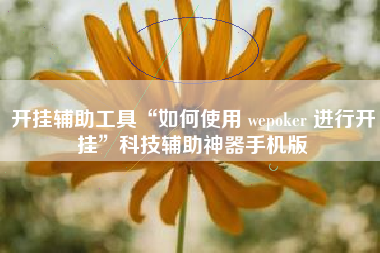开挂辅助工具“如何使用 wepoker 进行开挂”科技辅助神器手机版