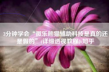 3分钟学会“微乐熊猫辅助科技是真的还是假的	”(详细透视教程)-知乎