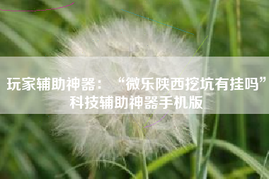 玩家辅助神器：“微乐陕西挖坑有挂吗”科技辅助神器手机版