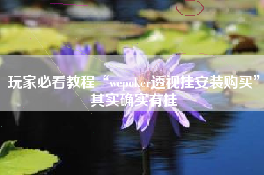 玩家必看教程“wepoker透视挂安装购买	”其实确实有挂