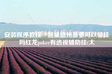 安装程序教程“智星德州菠萝可以装挂吗红龙poker有透视辅助挂(太