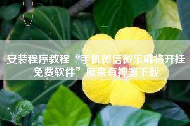 安装程序教程“手机微信微乐麻将开挂免费软件”原来有神器下载