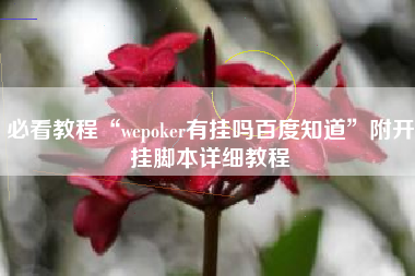 必看教程“wepoker有挂吗百度知道”附开挂脚本详细教程