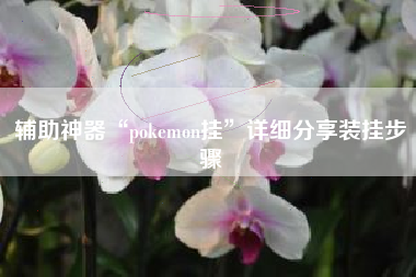 辅助神器“pokemon挂	”详细分享装挂步骤