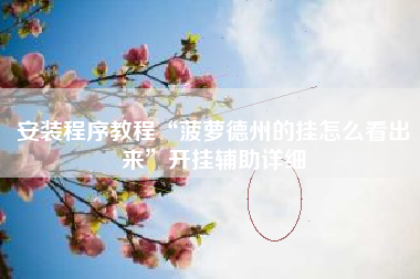 安装程序教程“菠萝德州的挂怎么看出来	”开挂辅助详细