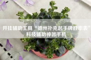 开挂辅助工具“德州扑克起手牌胜率表	”科技辅助神器手机