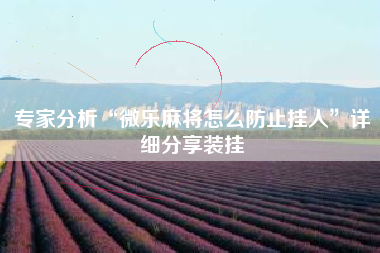 专家分析“微乐麻将怎么防止挂人”详细分享装挂