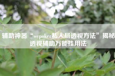 辅助神器“wepoker私人局透视方法”揭秘透视辅助万能挂用法