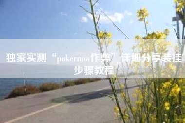 独家实测“pokernow作弊”详细分享装挂步骤教程