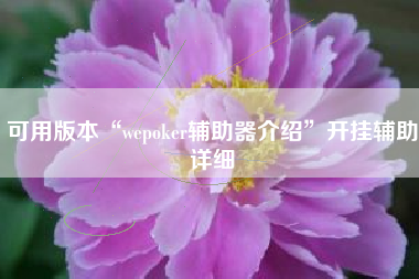可用版本“wepoker辅助器介绍”开挂辅助详细 可用版本“wepoker辅助器介绍”开挂辅助详细