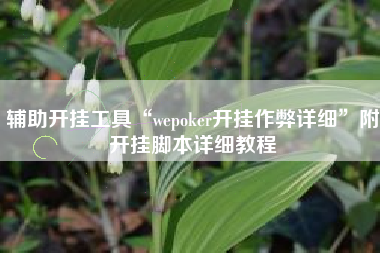 辅助开挂工具“wepoker开挂作弊详细”附开挂脚本详细教程