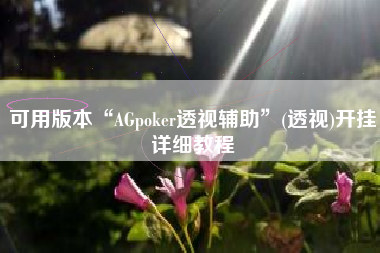 可用版本“AGpoker透视辅助”(透视)开挂详细教程 可用版本“AGpoker透视辅助”(透视)开挂详细教程