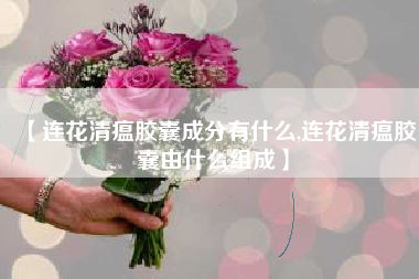 【连花清瘟胶囊成分有什么,连花清瘟胶囊由什么组成】