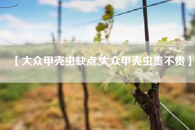 【大众甲壳虫缺点,大众甲壳虫贵不贵】