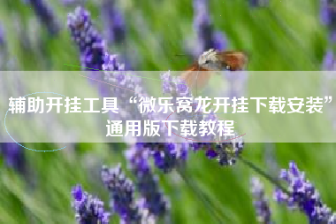 辅助开挂工具“微乐窝龙开挂下载安装”通用版下载教程