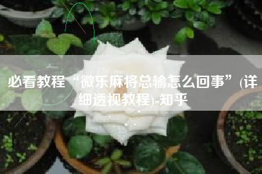 必看教程“微乐麻将总输怎么回事	”(详细透视教程)-知乎