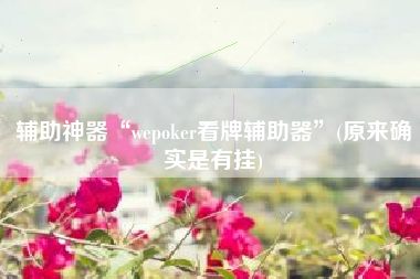 辅助神器“wepoker看牌辅助器”(原来确实是有挂)