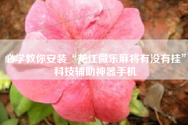 必学教你安装“龙江微乐麻将有没有挂	”科技辅助神器手机