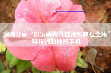 实测分享“微乐麻将开挂视频教程全集”科技辅助神器手机