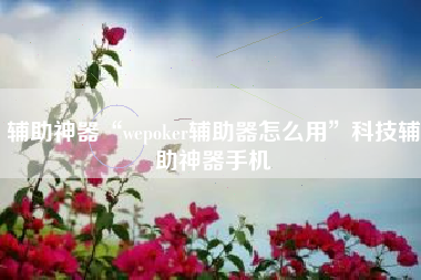 辅助神器“wepoker辅助器怎么用”科技辅助神器手机